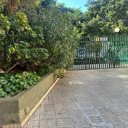 Moleiro Rambla Daire Santa Cruz de Tenerife